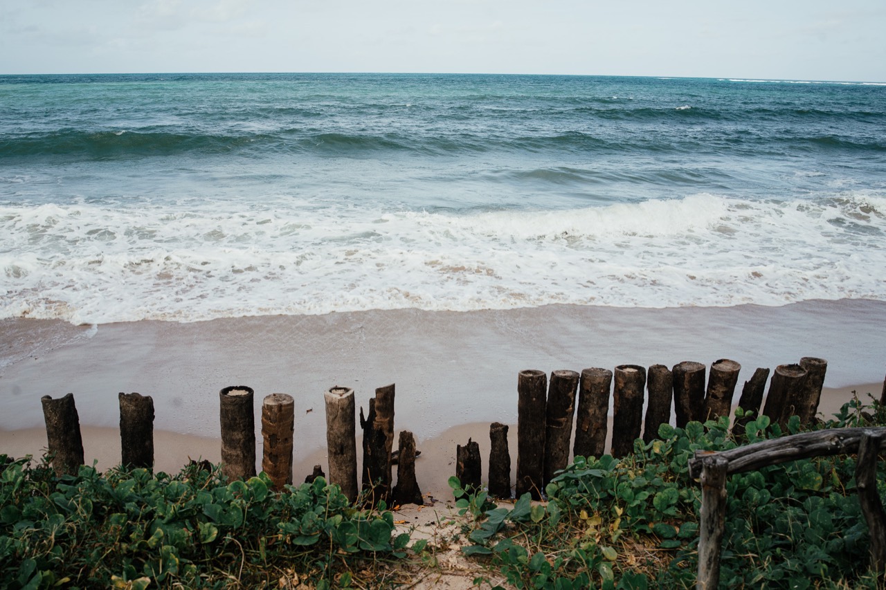 Waves breaking on a beach behind a row of weathered wooden posts