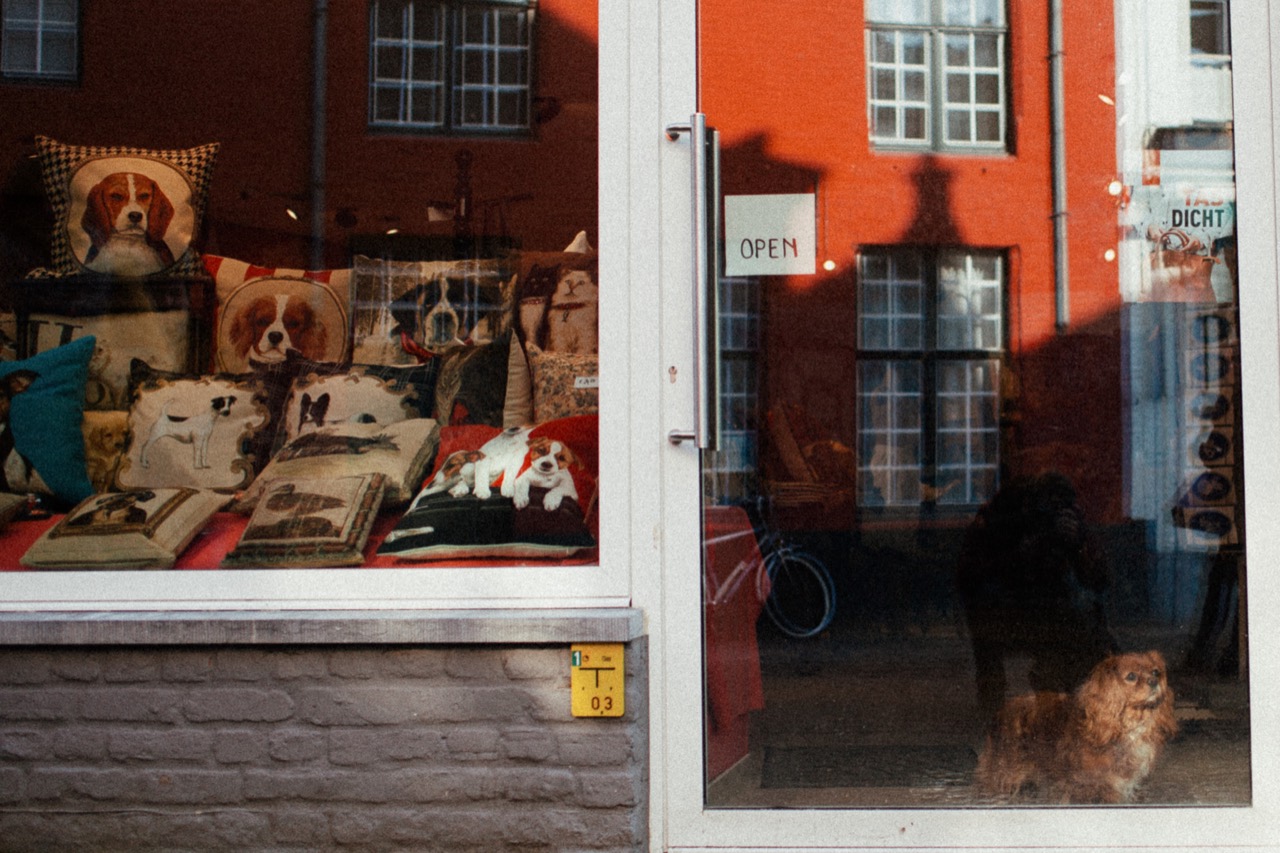 Colourful buildings reflected in a shop window filled with objects