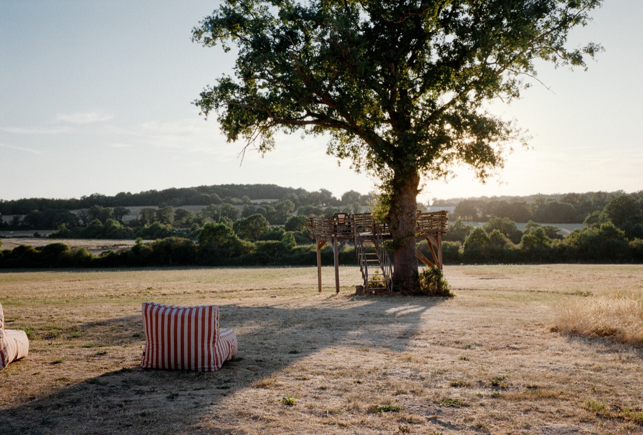 A broad tree casting shade across a dry field in evening light