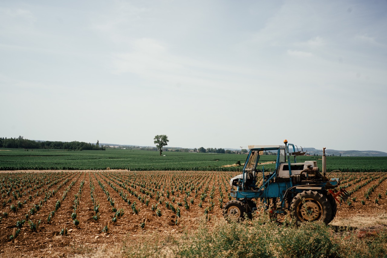 A tractor working across long rows of a cultivated field