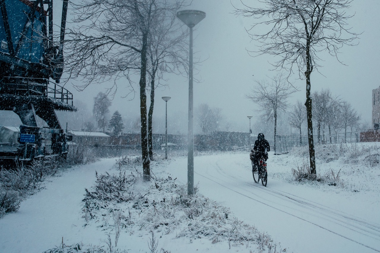 A person walking along a snowy path between bare trees